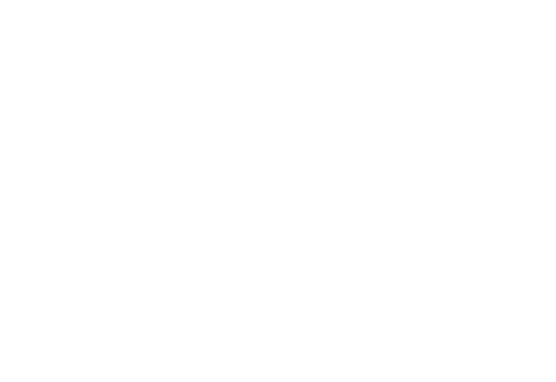 ies.logocopy