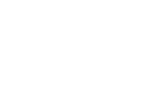IES Semi Conductor Parts logo